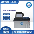  浙江英鵬便攜式水質等比例采樣器YP-8000D