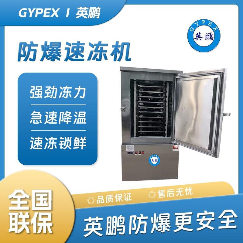 南京英鵬冷凍保鮮快速制冷速凍機YP300SDG