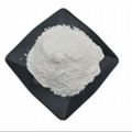 Fipv cat GS441524 powder CAS: 1191237-69-0