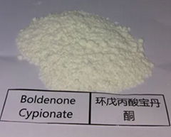 High purity Boldenone Cypionate Powder MIN 99.5% 