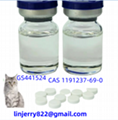 FIPV GS441524 treatment injection and pills treatment cat medicine 2