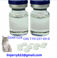 FIPV GS441524 treatment injection and pills treatment cat medicine