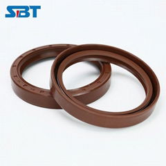   China manufacture SBT High Quality wholesale TC NBR oil seal TC FKM oil seal 