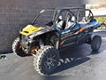 Teryx KRX 4 1000 ES 4