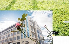 Beijing Dekangjia Technology Co., Ltd Beijing Dekangjia Technology Co., Ltd