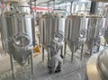 500L stacked stainless steel double wall beer fermentation tank 1