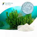 Hydrolyzed Sponge Spongilla Spicules Powder Cosmetic Ingredient 4