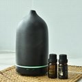 New Arrivel Zhenqi Ceramic Humidifier Scent diffuser Aroma timing function LED 3