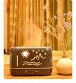 Hot Sellings Zhenqi Flame Humidifier Remote Control Warm Light Essential Oil 14