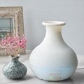Hot Sellings Zhenqi Vase Humidifier Scent & Aroma Diffuser Remote Control 1