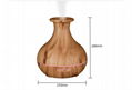 Hot Sellings Zhenqi Vase Humidifier Scent & Aroma Diffuser Remote Control 7