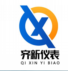安徽齊新儀表科技有限公司
