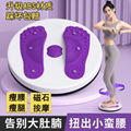 Home magnet waist twisting disc exercise small fitness device 5