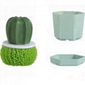 Household kitchen cleaning brush prickly pear wash dishes brush potted plants 5