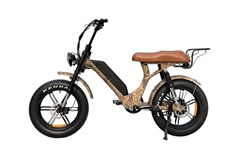 Step Through Fat Tire Electric Bike