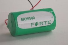 3.6V 鋰亞電池ER26500 C size 9000mAh 智能水表電表熱表