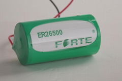 3.6V 锂亚电池ER26500 C size 9000mAh 智能水表电表热表