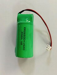 ER34615鋰亞電池3.6V D size 19000mAh 智能井蓋