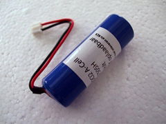 ER17505 一次鋰電池 3.6V A size 3500mAh