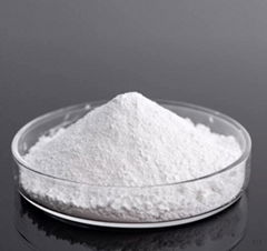 Titanium Dioxide Powder R-801 for Coating