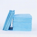 Leak-Proof Disposable Underpads for Bed and Furniture Protection 4