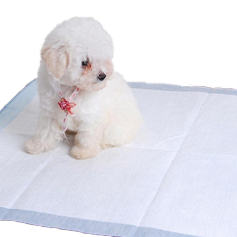 Convenient Disposable Pet Training Pads for Clean and Easy Housebreaking