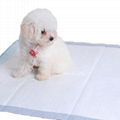 Convenient Disposable Pet Training Pads for Clean and Easy Housebreaking 1