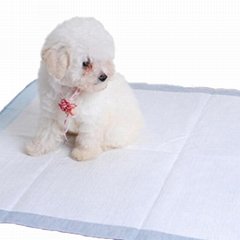 Convenient Disposable Pet Training Pads for Clean and Easy Housebreaking