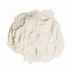 Factory Supply Xanthan Gum Low Price  Food Additives  White Powder  CAS 11138-66
