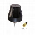 screw mount outdoor use high gain GPS glonass dual active car antenna 1