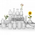 Clear Small Glass Flower Bud Vase for Home Decoration