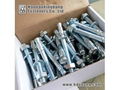 Factory Wholesale Wedge Anchor Steel M6-M24 BZP 3