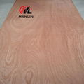 Sapeli veneer