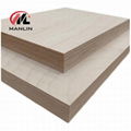 Marine Birch plywood  1