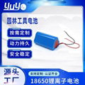 18650 12V High Capacity Rechargeable