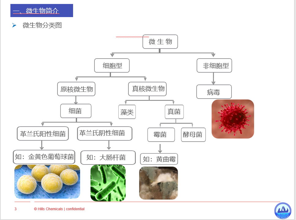 聚氨酯PU皮革用抗菌防霉剂 5