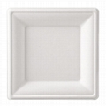  3-Compartment Eco-Friendly Food Packaging Biodegradable Disposable Discs 2