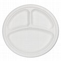  3-Compartment Eco-Friendly Food Packaging Biodegradable Disposable Discs