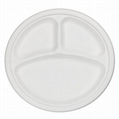  3-Compartment Eco-Friendly Food Packaging Biodegradable Disposable Discs