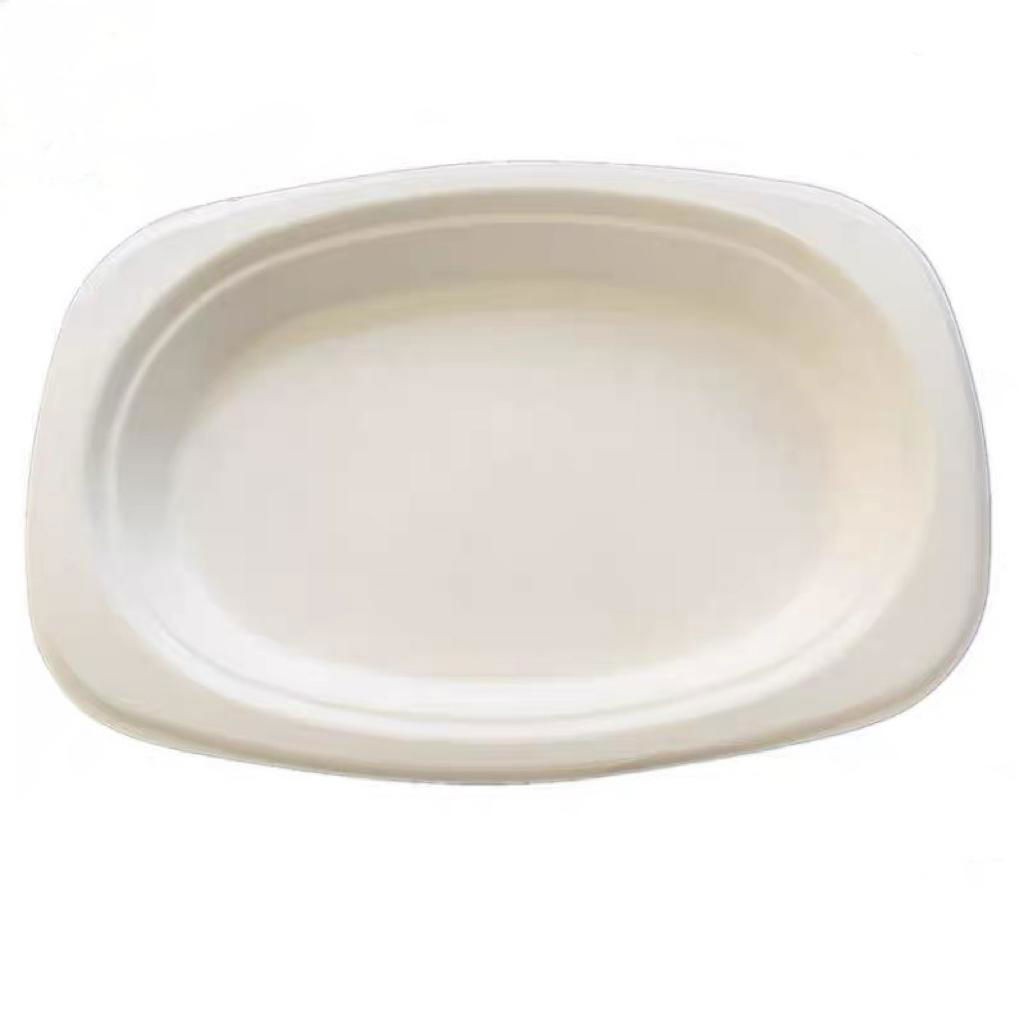  Bagasse Eco-Friendly Disposable Biodegradable Plate  Square Plate Oval Plate 2