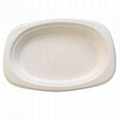  Bagasse Eco-Friendly Disposable Biodegradable Plate  Square Plate Oval Plate
