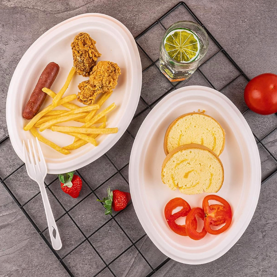  Bagasse Eco-Friendly Disposable Biodegradable Plate  Square Plate Oval Plate 4