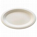  Bagasse Eco-Friendly Disposable Biodegradable Plate  Square Plate Oval Plate
