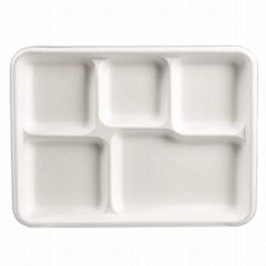 5 6 Compartments  Compostable  Buffet School Hospital Fast Food Restaurant Tray