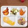 5 6 Compartments  Compostable  Buffet School Hospital Fast Food Restaurant Tray