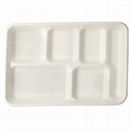 5 6 Compartments  Compostable  Buffet School Hospital Fast Food Restaurant Tray