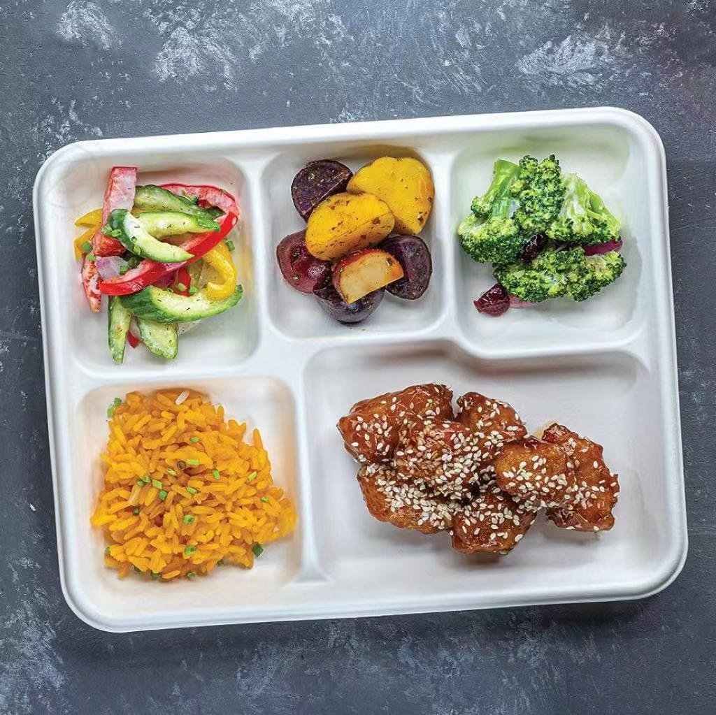 5 6 Compartments  Compostable  Buffet School Hospital Fast Food Restaurant Tray 3