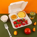Disposable Eco-Friendly Compostable Biodegradable Clamshell Container Lunch Box 4
