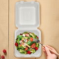 Take Away Food Container Packaging Sugarcane Bagasse Biodegradable Lunch Box 5