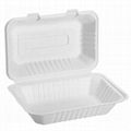 Take Away Food Container Packaging Sugarcane Bagasse Biodegradable Lunch Box